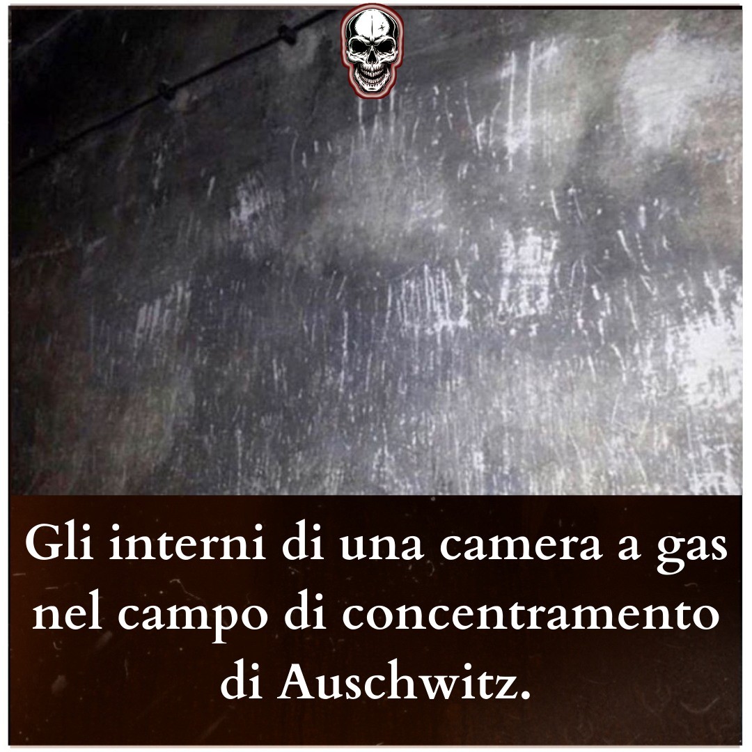 #Auschwitz un posto che ancora oggi e' intriso delle grida di chi purtroppo perse la vita. #horror